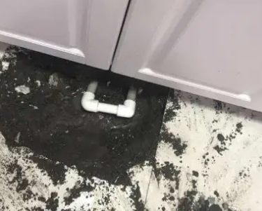 薛城查漏水哪家好